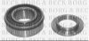 BORG & BECK BWK220 Wheel Bearing Kit